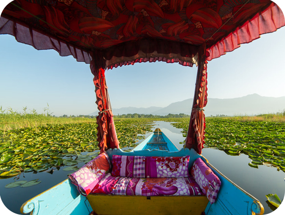 Budget Kashmir Package