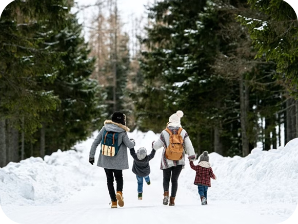 Kashmir Family Package